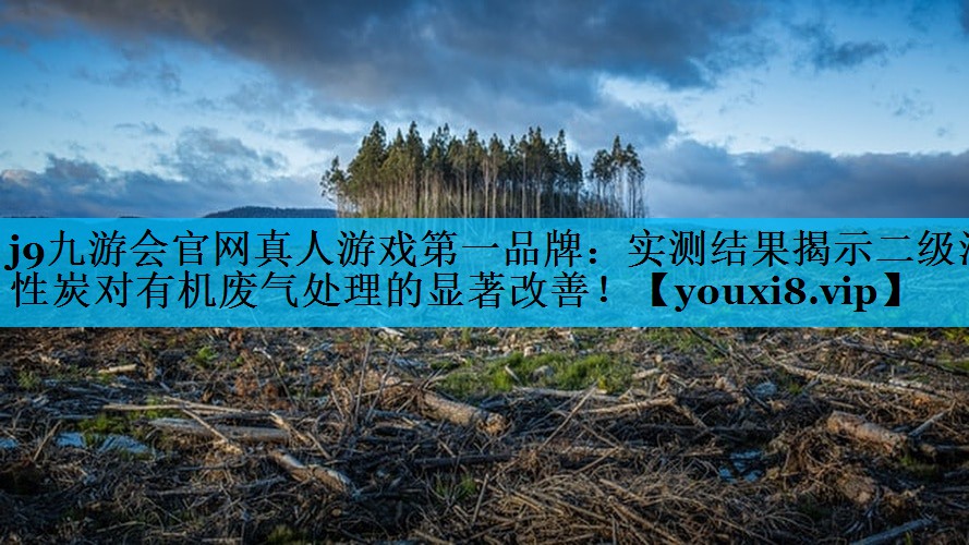 j9九游会官网真人游戏第一品牌：实测结果揭示二级活性炭对有机废气处理的显著改善！