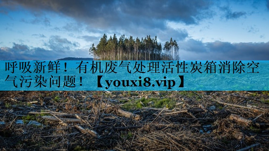 呼吸新鲜！有机废气处理活性炭箱消除空气污染问题！