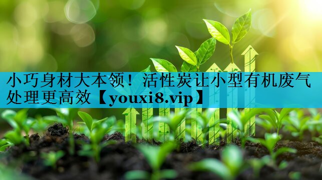 小巧身材大本领！活性炭让小型有机废气处理更高效