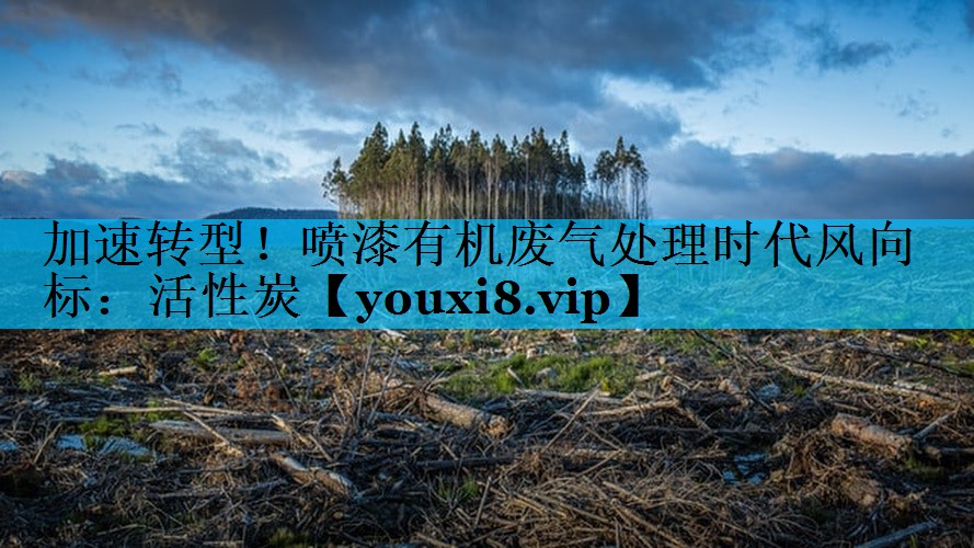 加速转型！喷漆有机废气处理时代风向标：活性炭