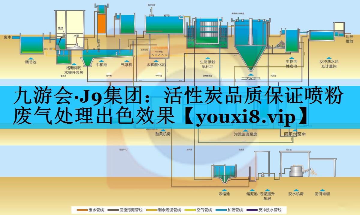 活性炭品质保证喷粉废气处理出色效果