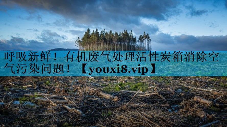 呼吸新鲜！有机废气处理活性炭箱消除空气污染问题！